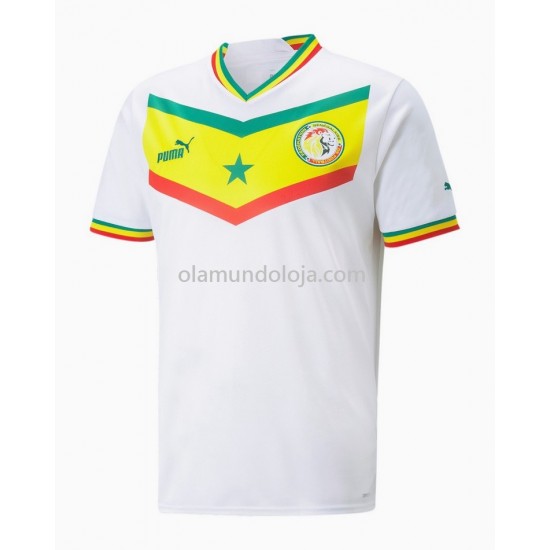 Camisola Senegal Equipamento Primeiro Copa do Mundo 2022 Manga Corta